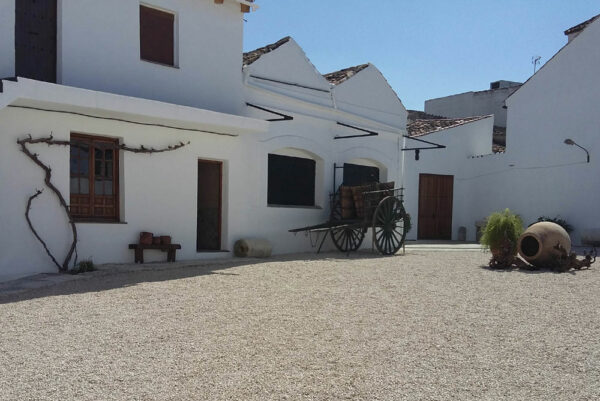 Visita Bodega