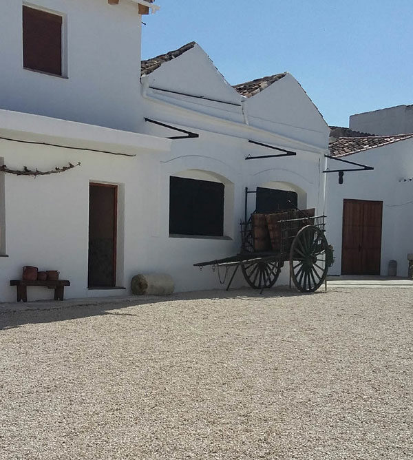 Visita Bodega